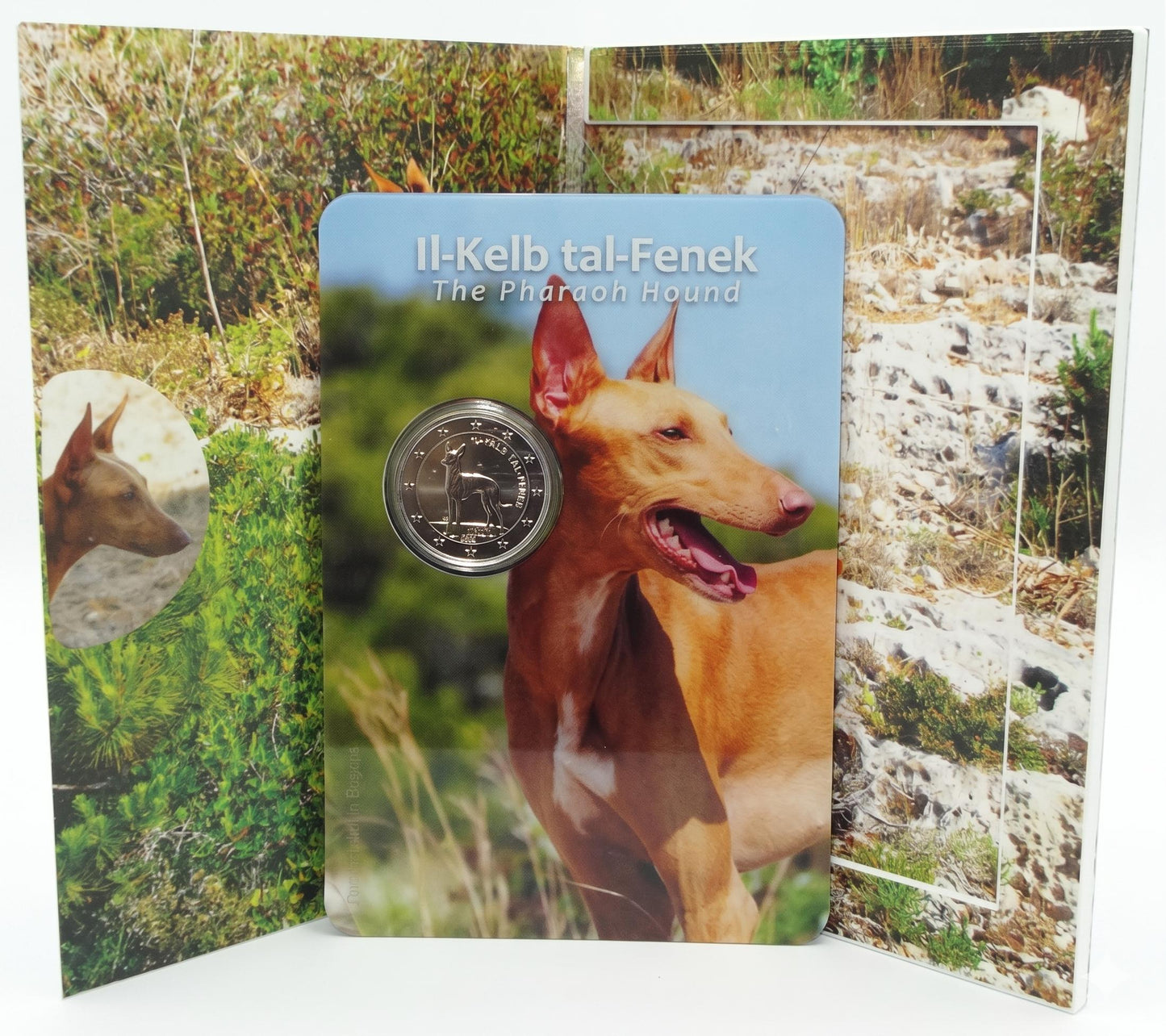 2 Euro Gedenkmünze Malta 2026 - Pharaonenhund Coincard