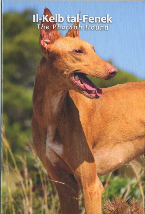 2 Euro Münze Malta 2026 Pharaonenhund