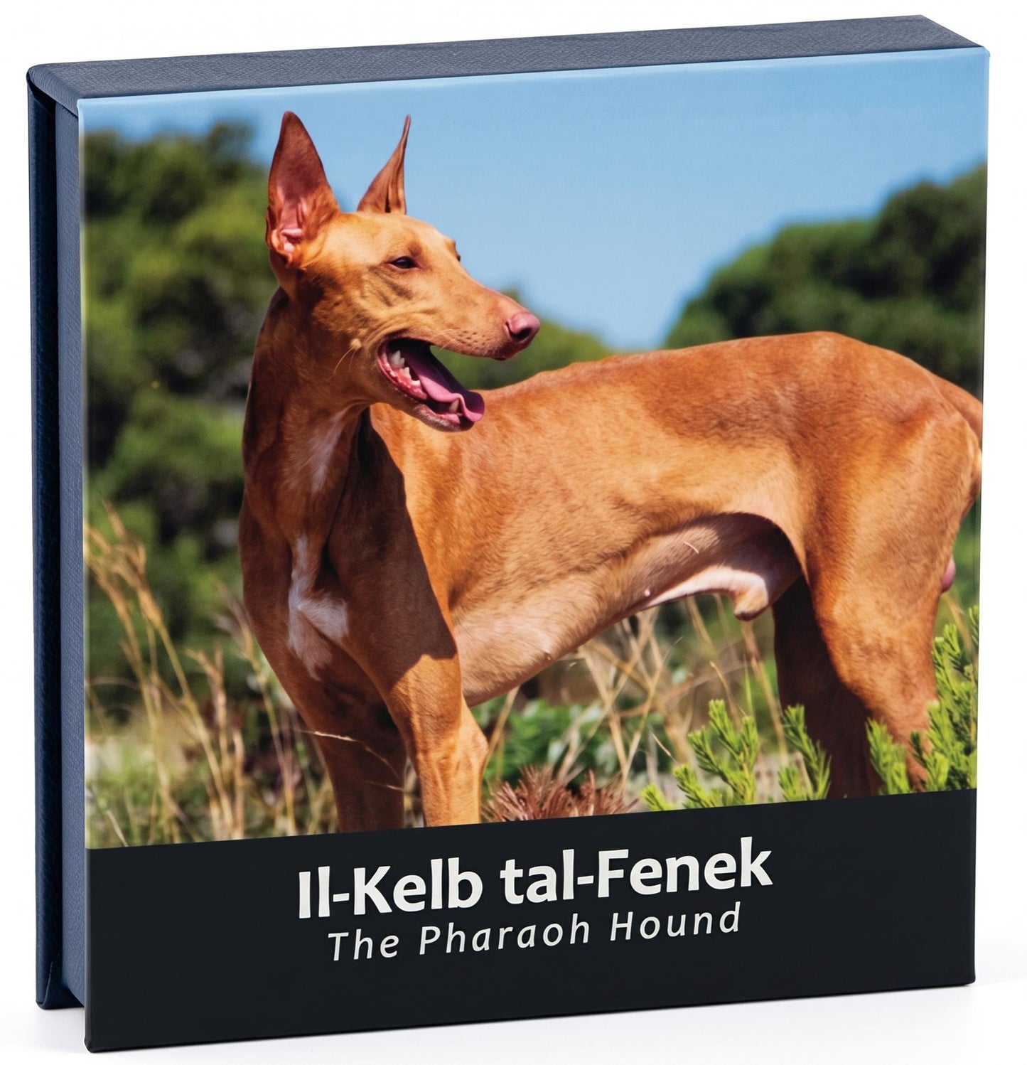 2 Euro Gedenkmünze Malta 2026 - Pharaonenhund PP