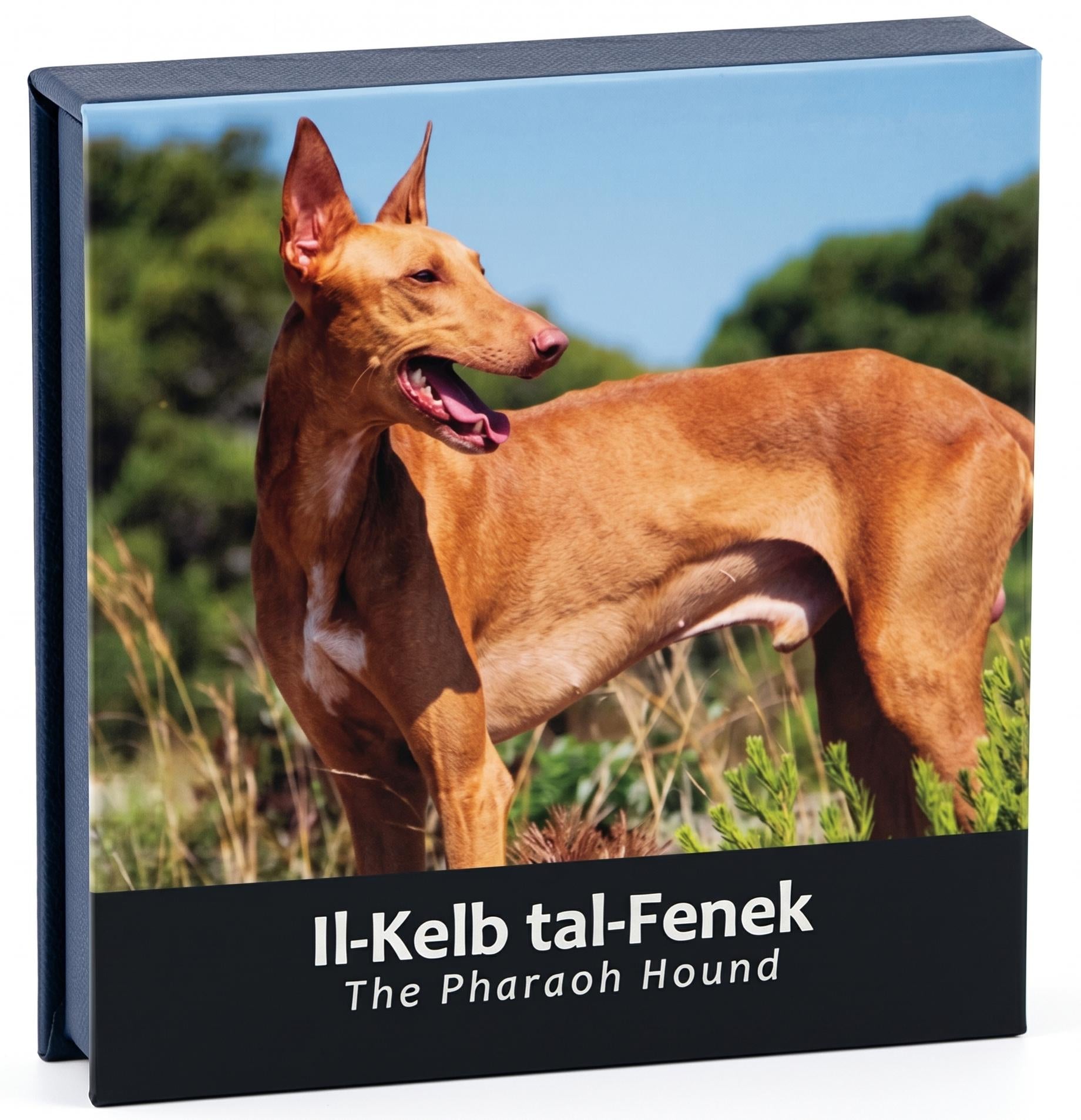 2 Euro Gedenkmünze Malta 2026 - Pharaonenhund PP